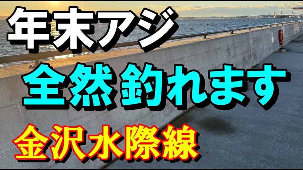 ダラダラと釣れ続けるアジ　金沢水際線緑地　アジ釣り　朝まずめ横浜福浦