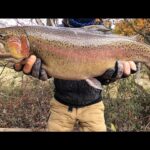 大型で極太のニジマスが潜む釣り場が衝撃だった。大型サーモンの巣窟はここだ．．極上の魚達の楽園【管理釣り場】