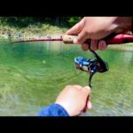 超巨大サーモンが潜む管理釣り場『黒保根渓流フィッシング』に挑戦した結果…【エリアトラウト】