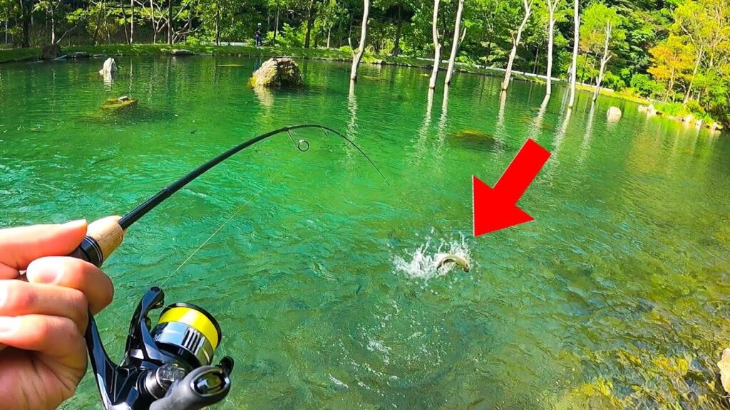 【関西の秘境】超絶ロケーションの管理釣り場へ行く。【エリアトラウト　朽木こがわ渓流センター　釣りガール】