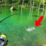 【関西の秘境】超絶ロケーションの管理釣り場へ行く。【エリアトラウト　朽木こがわ渓流センター　釣りガール】