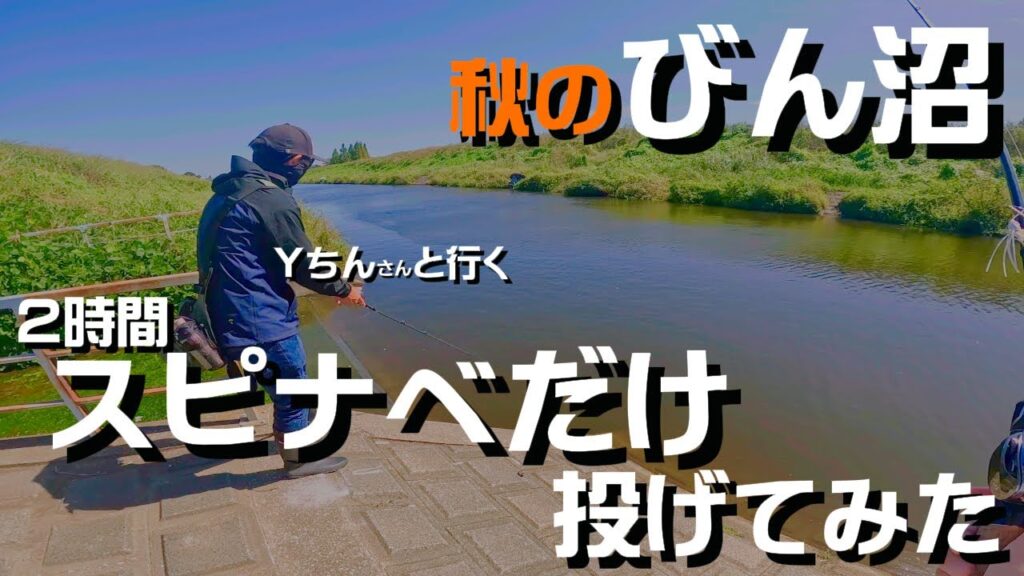 【埼玉バス釣り】秋のびん沼で意地張ってスピナベオンリーで釣りしたらホゲたけど有意義だった【秋は巻物】