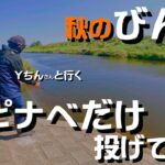【埼玉バス釣り】秋のびん沼で意地張ってスピナベオンリーで釣りしたらホゲたけど有意義だった【秋は巻物】