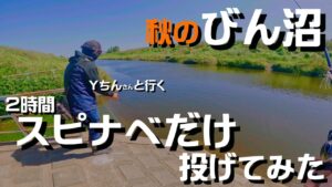 【埼玉バス釣り】秋のびん沼で意地張ってスピナベオンリーで釣りしたらホゲたけど有意義だった【秋は巻物】