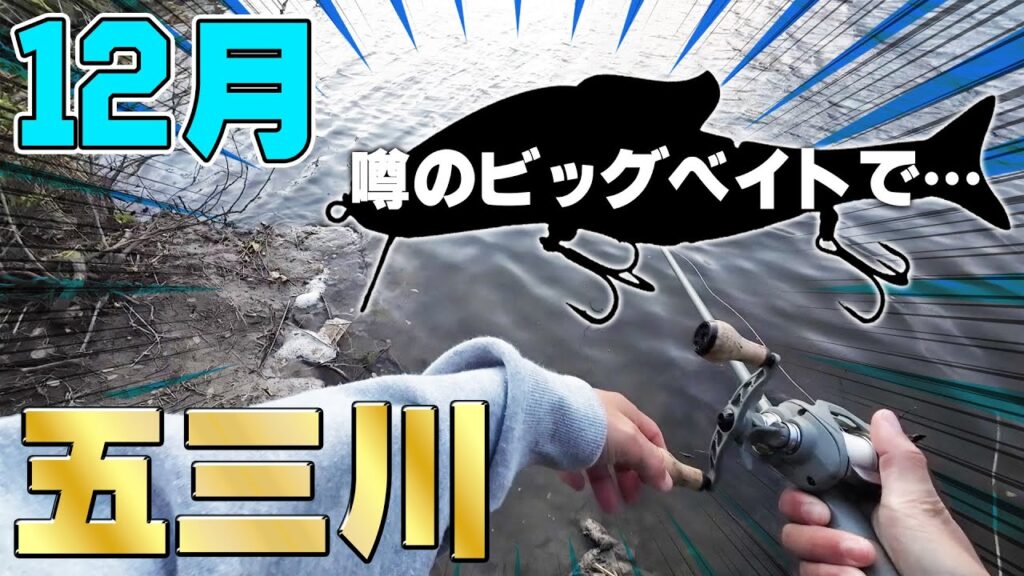 なんなんこれやば…【五三川バス釣り】