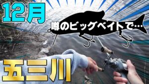 なんなんこれやば…【五三川バス釣り】