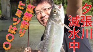 【夕張川釣り】減水中の夕張川でニジマスを釣るヒミツ教えます!!?