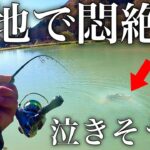 【難易度高くて悶絶】管釣りの聖地鹿島槍ガーデンに行ったら…【エリアトラウト　管理釣り場　村田基】