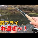管理釣り場で絶大な釣果を誇るフライがコレです！トラウトガムの使い方がやっとわかったｗ