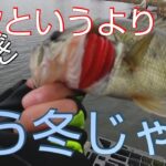 【冬のバス釣り】【近藤沼】寒くてもとりあえずバスを触りたい時に使うルアー【Ｃ４ジグ】