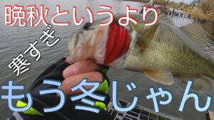 【冬のバス釣り】【近藤沼】寒くてもとりあえずバスを触りたい時に使うルアー【Ｃ４ジグ】