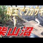 埼玉でワカサギ釣りが出来る！柴山沼で初心者にオススメの釣り方を紹介！！