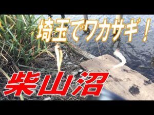 埼玉でワカサギ釣りが出来る！柴山沼で初心者にオススメの釣り方を紹介！！