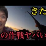 久しぶりに遠州灘サーフでルアー釣り🔥