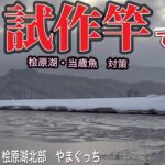 【ワカサギ釣り】シマノ試作竿で釣る！#シマノ #レイクマスター #桧原湖ワカサギ釣り #ワカサギ釣り #やまぐっち