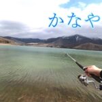 【かなやま湖】春の金山湖でのんびり釣り散策してきました！途中に立ち寄った川で謎の魚も！