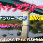 【相模川】トップウォーターオンリーで遊ぶ朝の散歩！
