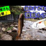 知識ゼロの初心者が、渓流ルアー釣りを簡単にスタートするための解説動画