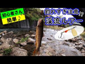 知識ゼロの初心者が、渓流ルアー釣りを簡単にスタートするための解説動画
