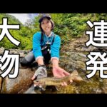 【渓流釣り】誰も来ない山奥まで歩いて釣りしたら... | 源流居酒屋よーこ