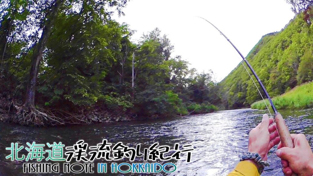 【渓流釣り】余市川本流中流域が教えてくれる良型虹の楽しさ～フライフィッシング北海道渓流釣り紀行～