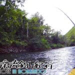 【渓流釣り】余市川本流中流域が教えてくれる良型虹の楽しさ～フライフィッシング北海道渓流釣り紀行～