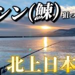 【北海道】【釣り】２０２４ラスト釣行！ニシン（鰊）狙って日本海北上！