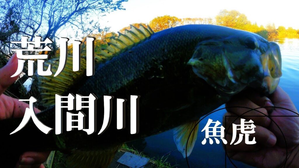 【荒川、入間川、ルアー釣り、ブラクリ釣り】【利根川＆荒川水系、バス釣り、コイ、雷魚、ナマズ、フナ、クチボソ、餌釣り、フィシング、魚釣り、埼玉釣り、関東釣り、川越エリア】
