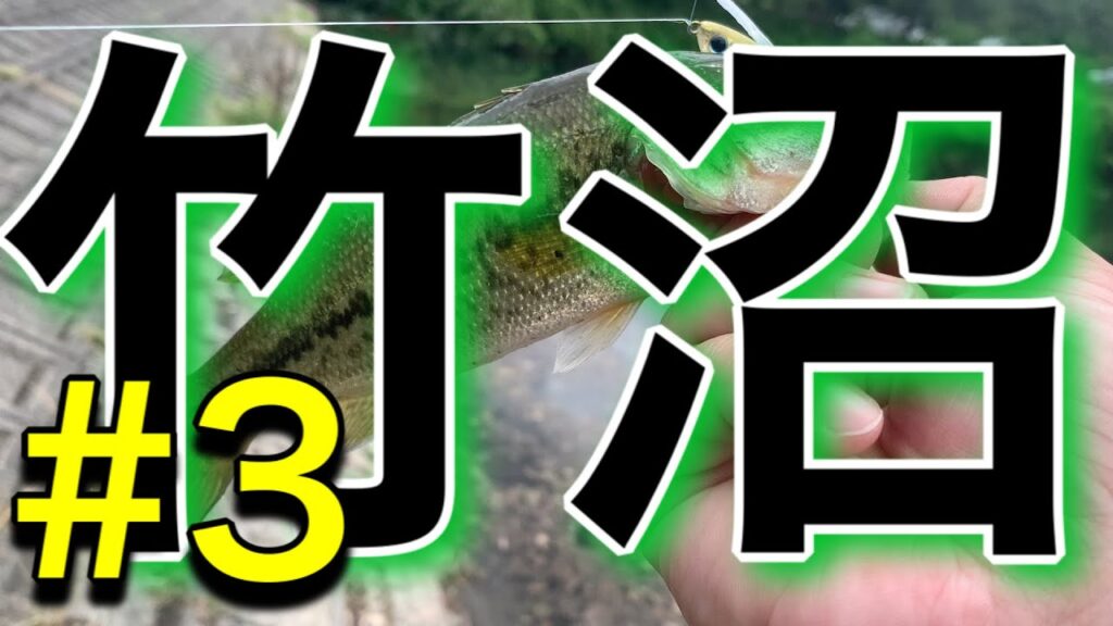 【バス釣り】竹沼釣行！見えバスハンターしゅんぴちゃん降臨！