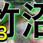 【バス釣り】竹沼釣行！見えバスハンターしゅんぴちゃん降臨！