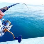 身近な堤防から高級魚達が簡単に釣れるこの釣りがやばい。