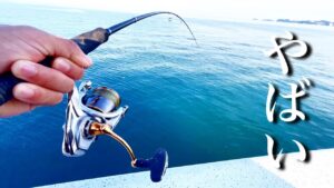 身近な堤防から高級魚達が簡単に釣れるこの釣りがやばい。