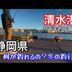 【冬の釣り】静岡県の漁港で堤防サビキ釣り調査した結果...