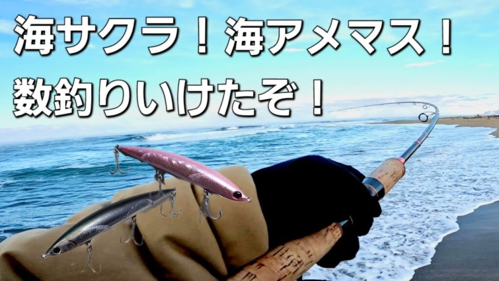 海アメ海サクラの開幕はこのアクションで数も釣れて好調スタート！【北海道釣り】【海サクラマス】
