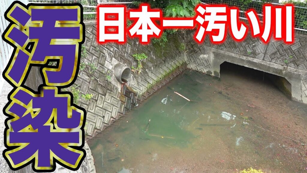 生活排水汚染された川で釣り出来るの？