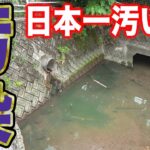生活排水汚染された川で釣り出来るの？