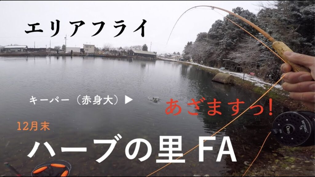 ハーブの里で正月の食糧調達してきたお話 #フライフィッシング #管釣りフライ #エリアトラウト