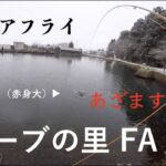 ハーブの里で正月の食糧調達してきたお話 #フライフィッシング #管釣りフライ #エリアトラウト