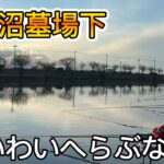 びん沼墓場下でへらぶな釣り！わいわい笑いながらのへらぶな釣りが一番楽しいですなぁ〜