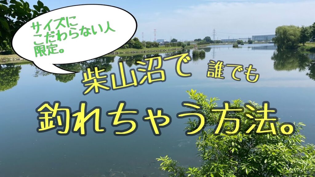 柴山沼で誰でも釣れちゃう方法。