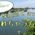 柴山沼で誰でも釣れちゃう方法。