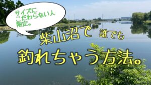 柴山沼で誰でも釣れちゃう方法。