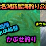 【浜名湖 釣り】新居海釣り公園 かぶせ釣り 水中カメラで釣れる瞬間を激撮！まさかの高級魚も！