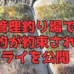 爆超が約束されたフライパターン７本【管理釣り場/タイイング】