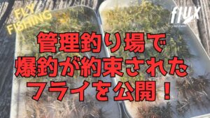 爆超が約束されたフライパターン7本【管理釣り場/タイイング】