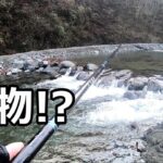 [エリアトラウト]アラフォーが管理釣り場で大物を釣る！エサ釣り編