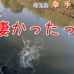 とにかく、凄かったっ！です！   埼玉県 幸手で小物釣り。