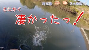 とにかく、凄かったっ！です！   埼玉県 幸手で小物釣り。