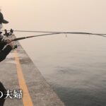 【妻ひとりぼっちで釣りに行く】春だけ、巨大なアジが集まる場所で釣りしたところ…行ったらヤバかった!!!! 投げると…とんでもないことに！？直江津港第３堤防（ハッピーフィッシング)  #海釣り #夫婦