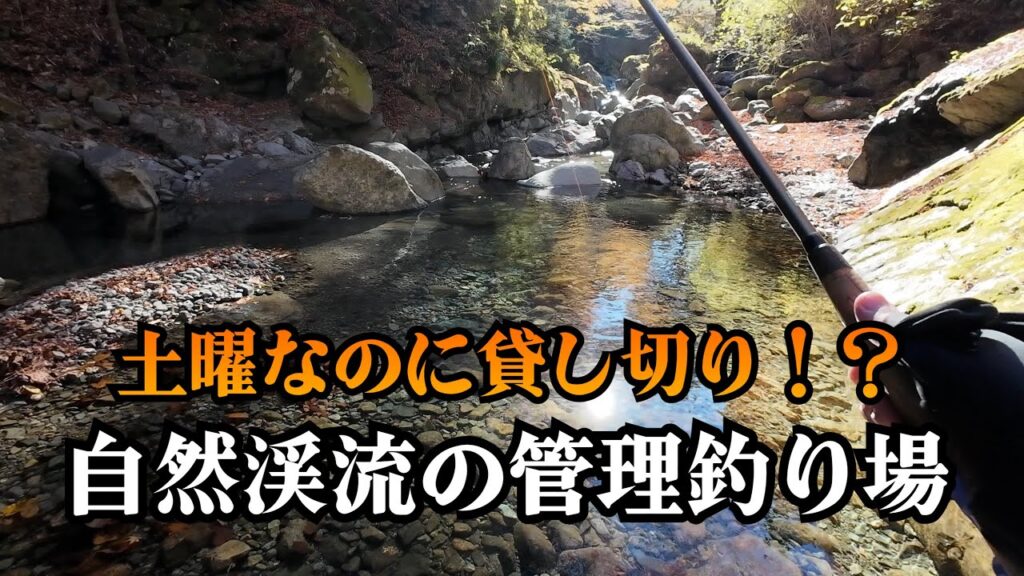 【隠れた穴場】とある管理釣り場に行ったら貸し切りで最高でした【渓流釣り】